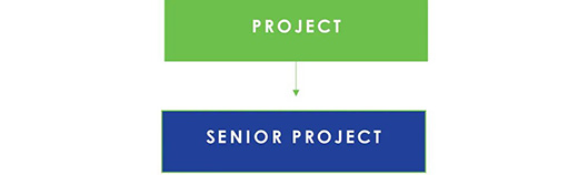 project senior project