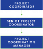 3 - Project Coordinator 3